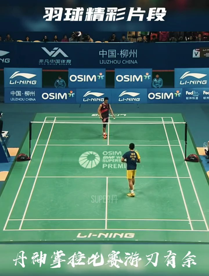 印尼羽毛球队横扫丹麦羽毛球队，林丹统治全场的简单介绍